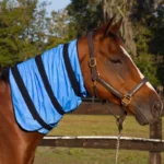 Equine Neck Wrap på hest.