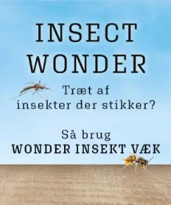 Insect Wonder 12