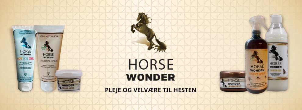 Horse Wonder 1 1 1