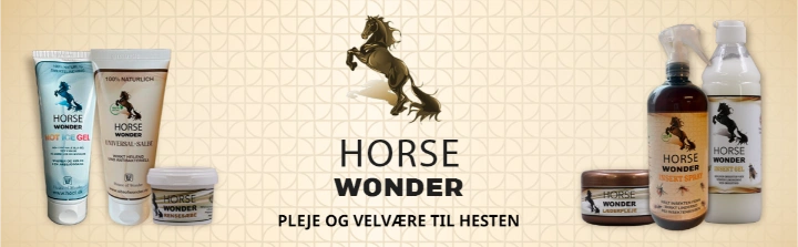 Slider Horse Wonder 3