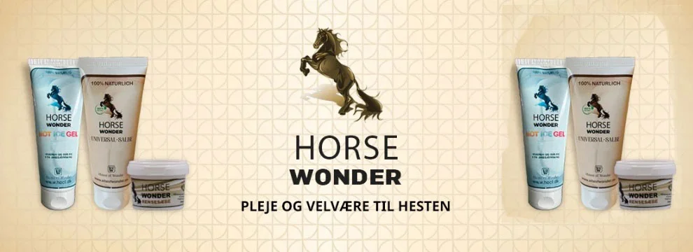 Horse-Wonder